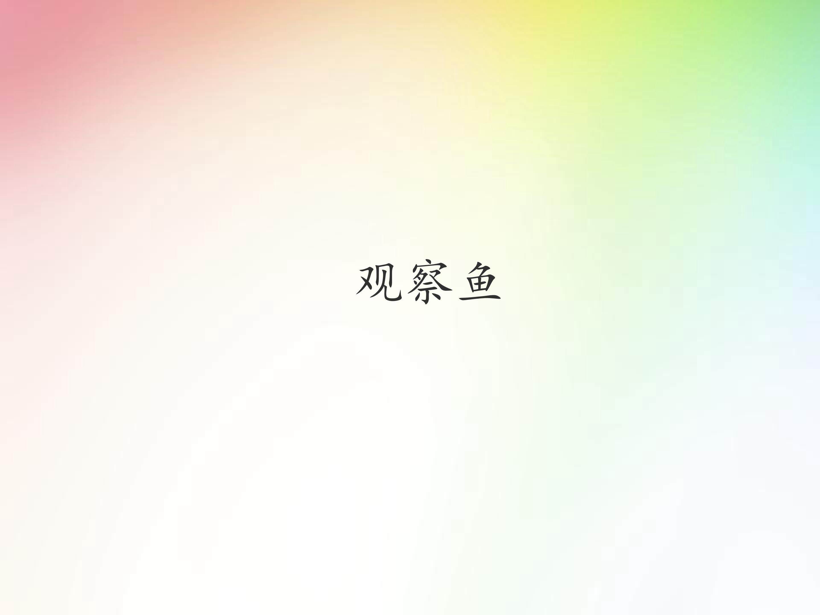 观察鱼_课件1