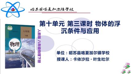 第十单元 第三课时 物体的浮沉条件与应用