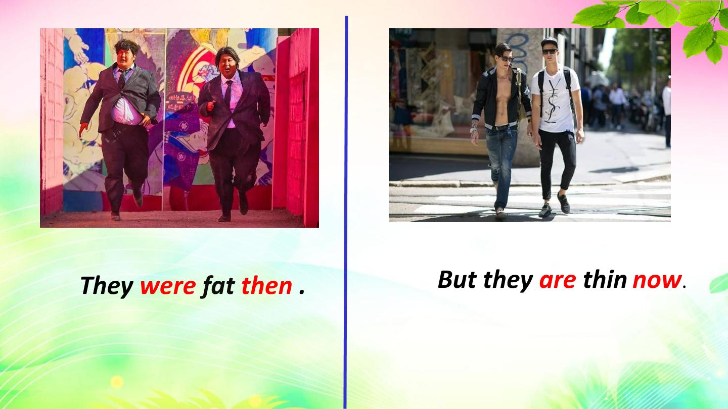 13.jpg