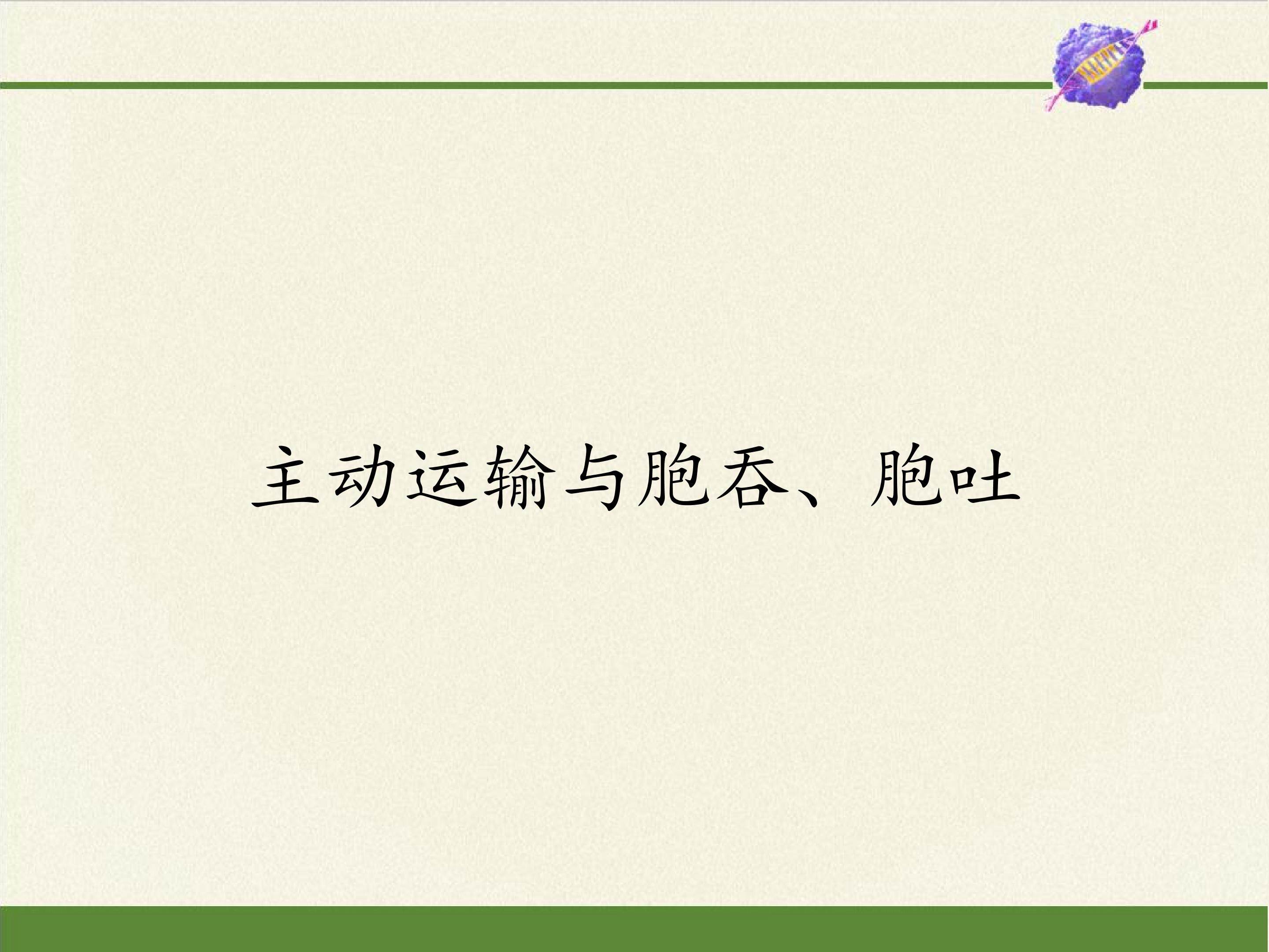 主动运输与胞吞、胞吐