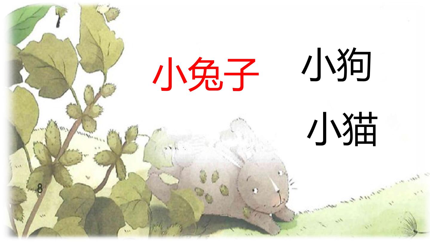 42.jpg