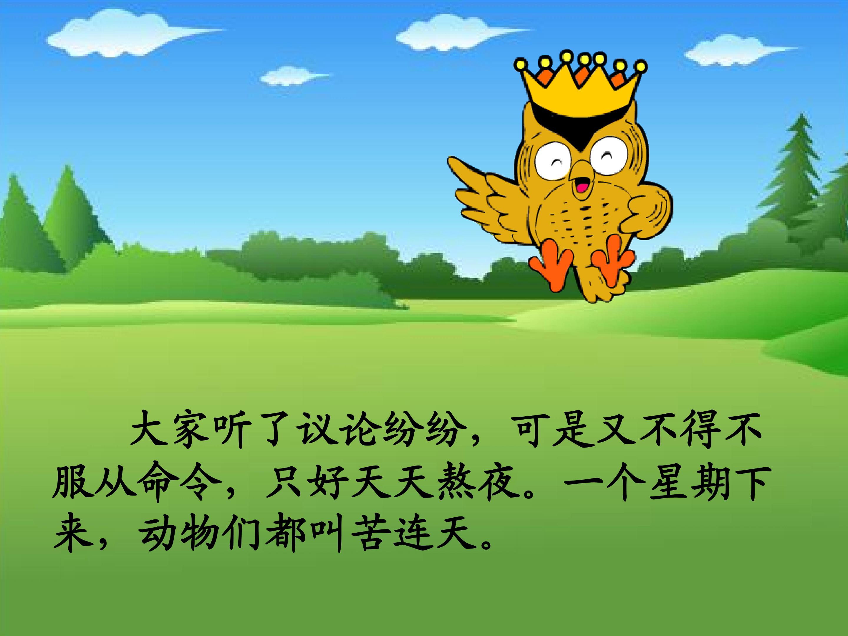 20.jpg