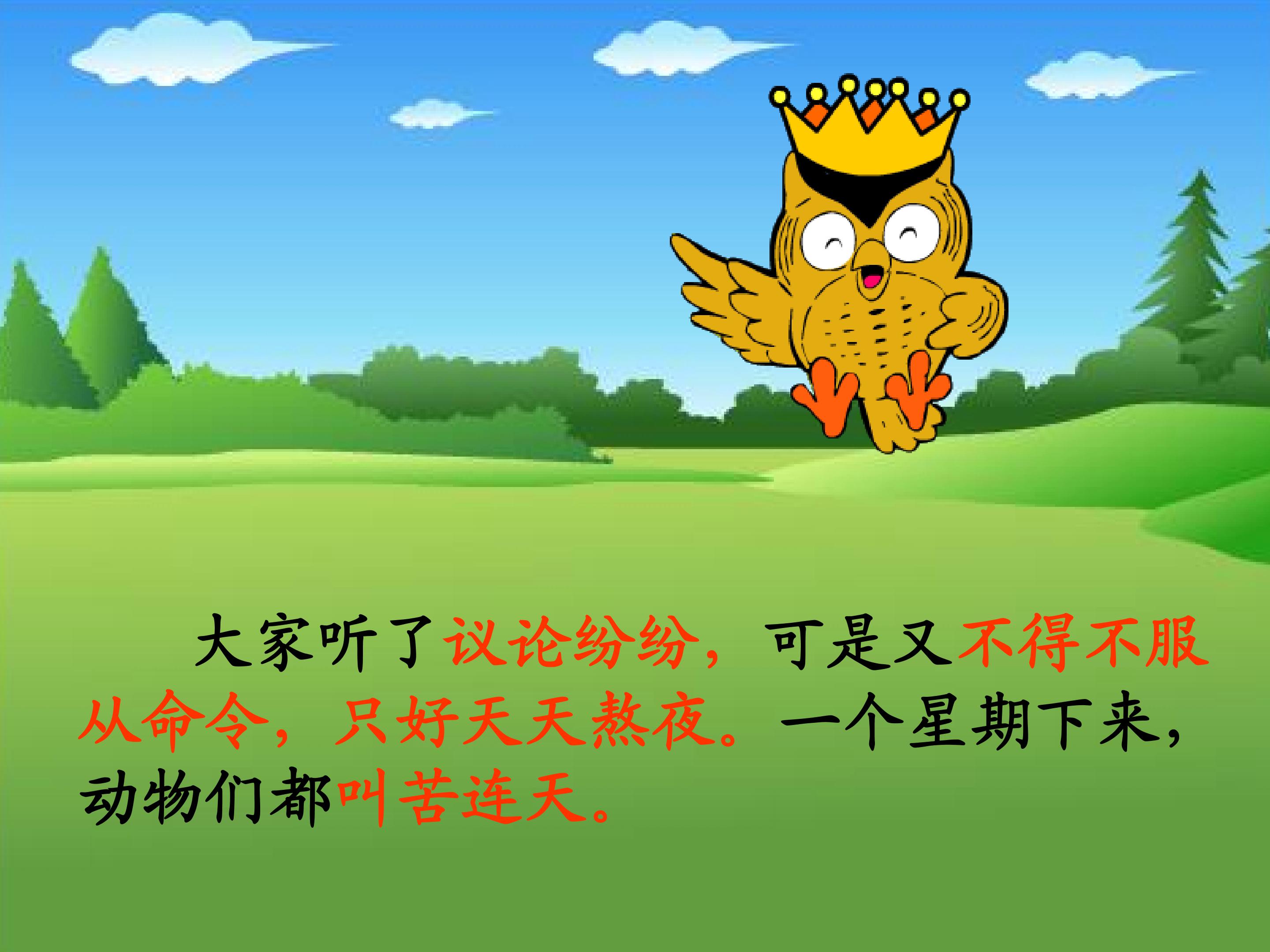 21.jpg