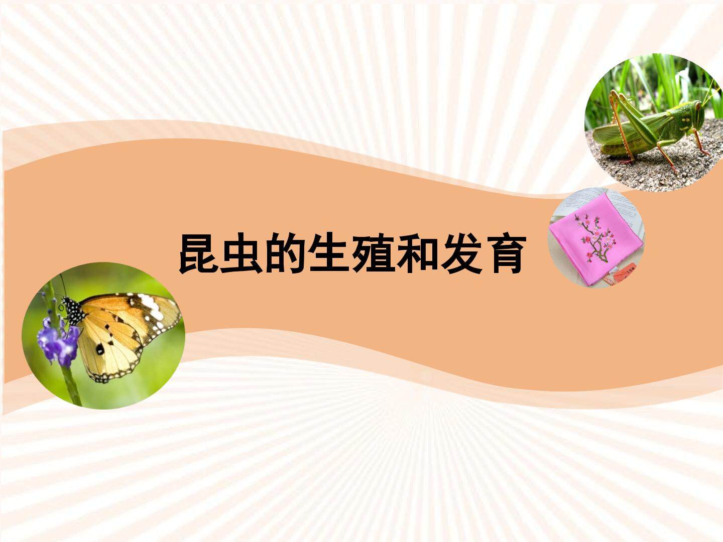 昆虫的生殖与发育_课件1