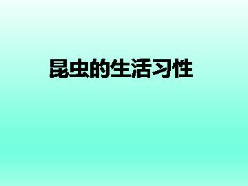 昆虫的生活习性_课件1
