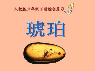 《琥珀》