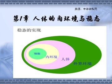 生物高中必修3第一章第一节课件2