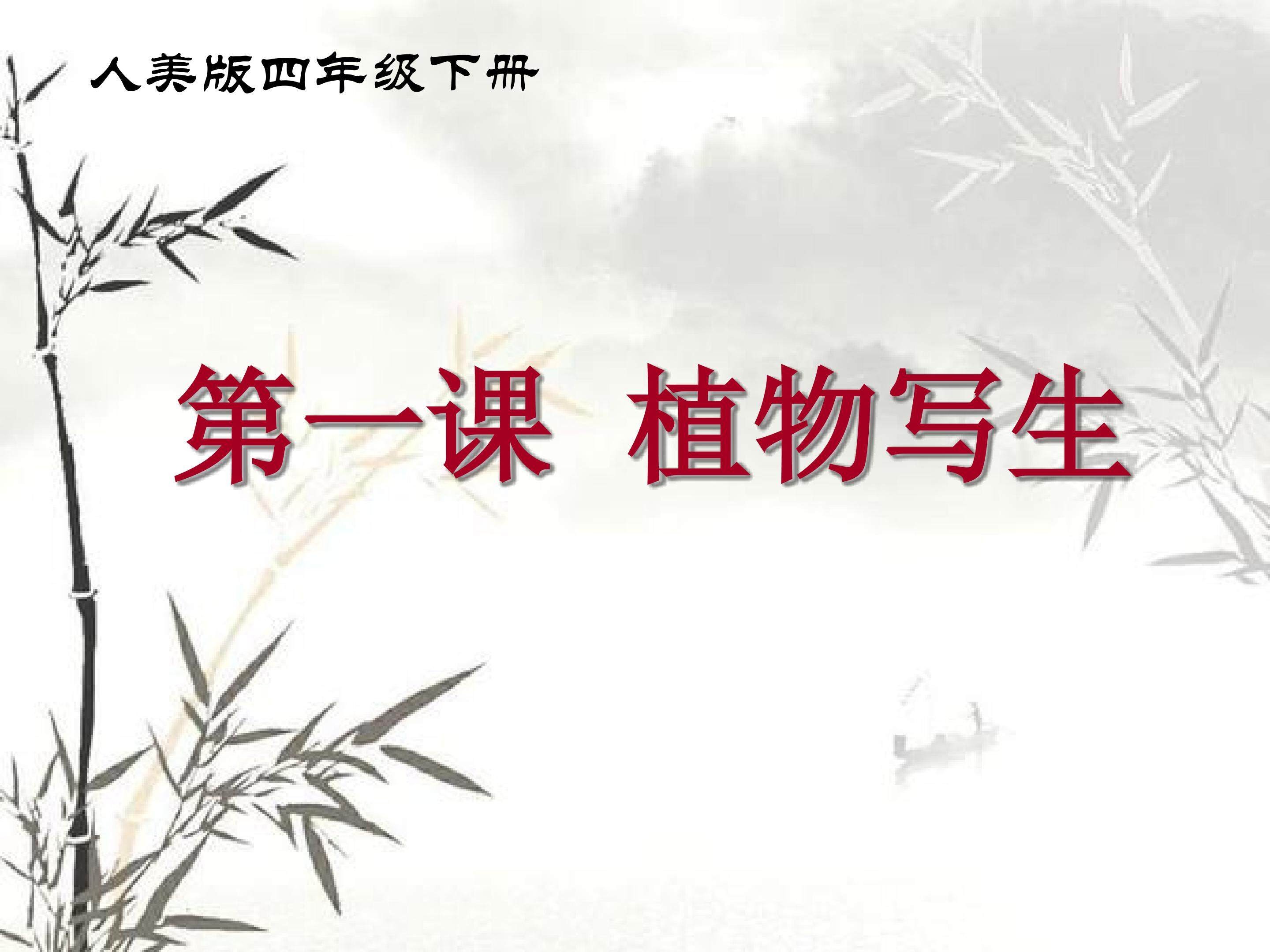 《植物写生》PPT