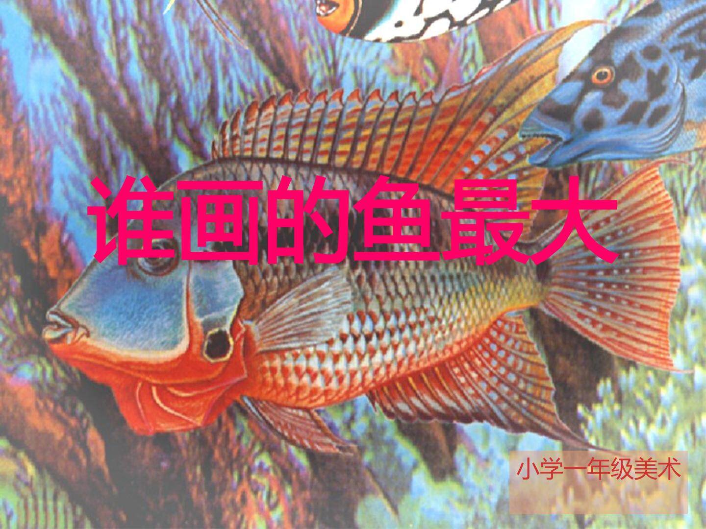 谁画的鱼最大