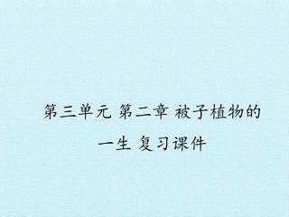 第二章  被子植物的一生 复习课件