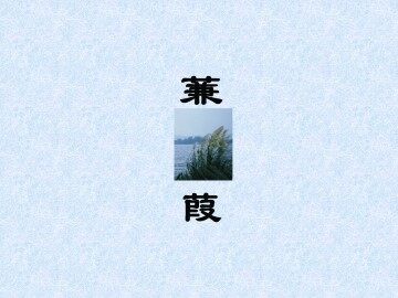 蒹葭_课件1