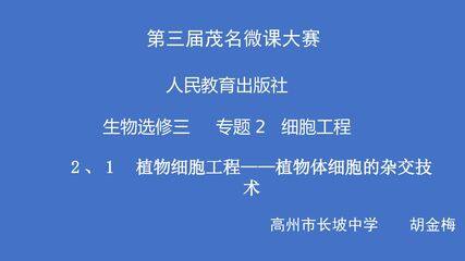 植物细胞工程——植物体细胞杂交技术