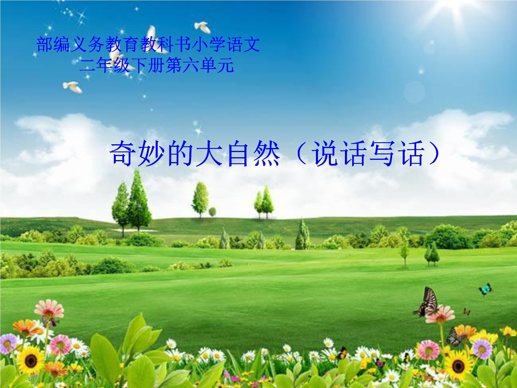 奇妙的大自然