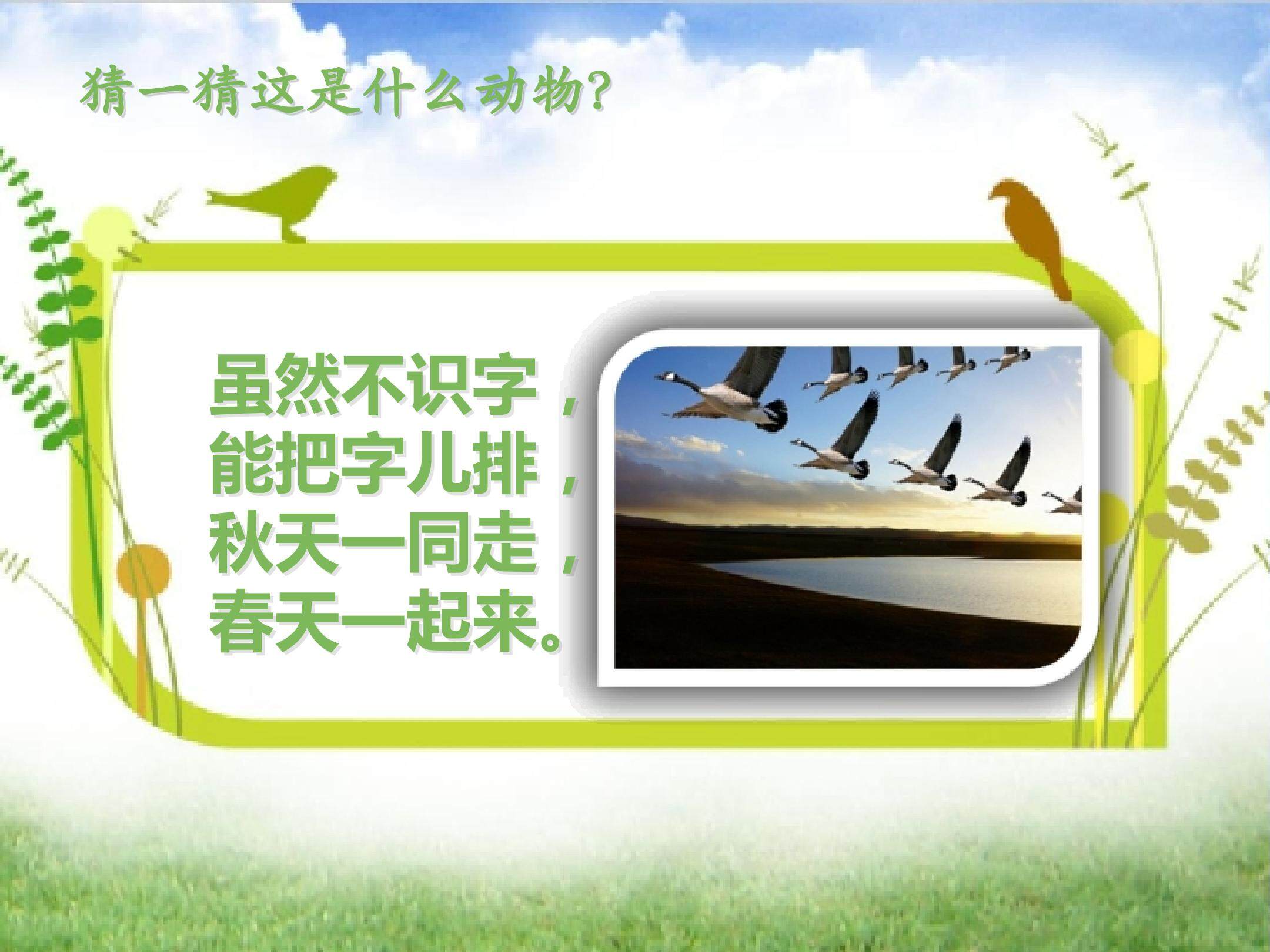 大雁湖