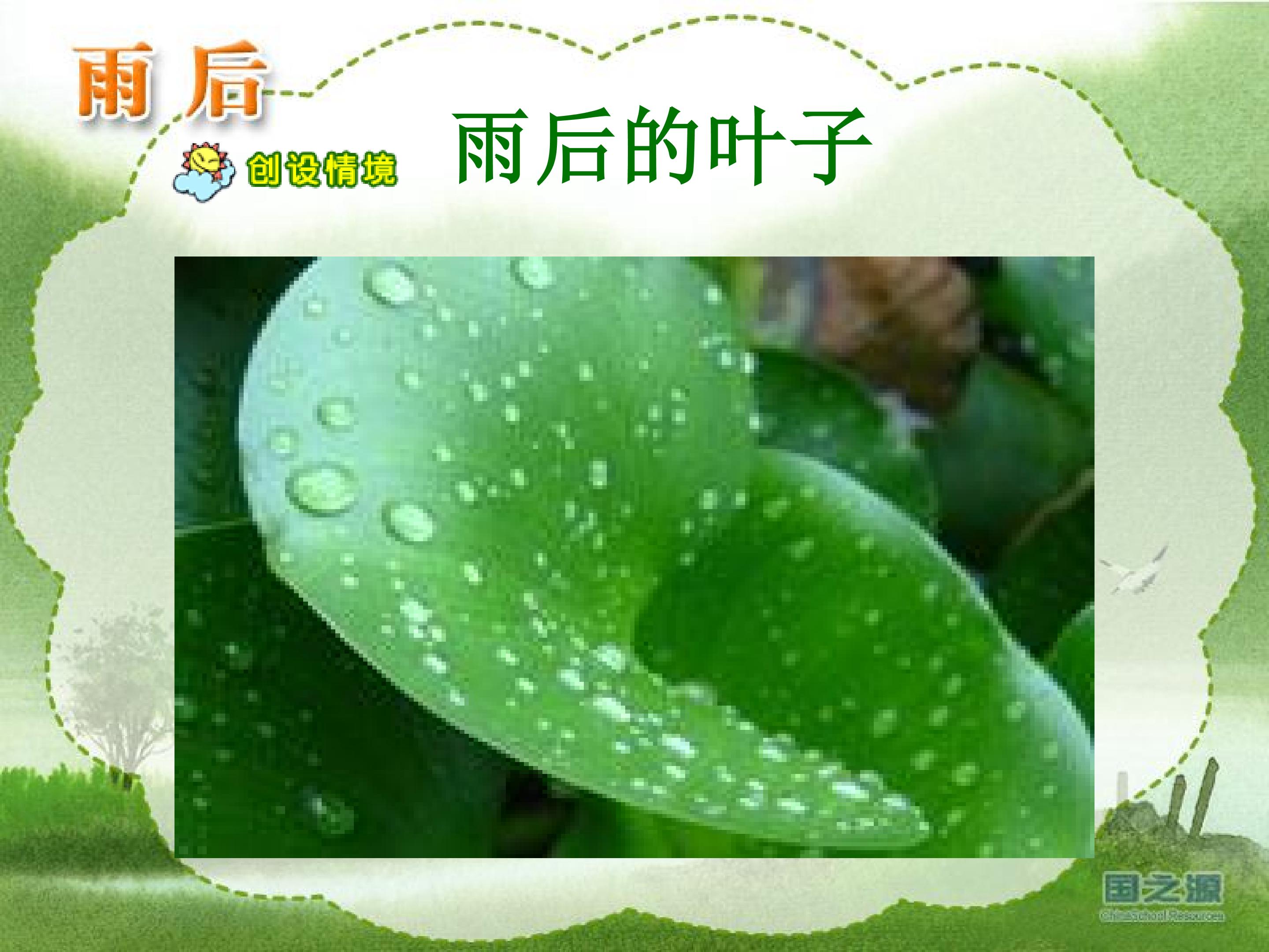 雨后