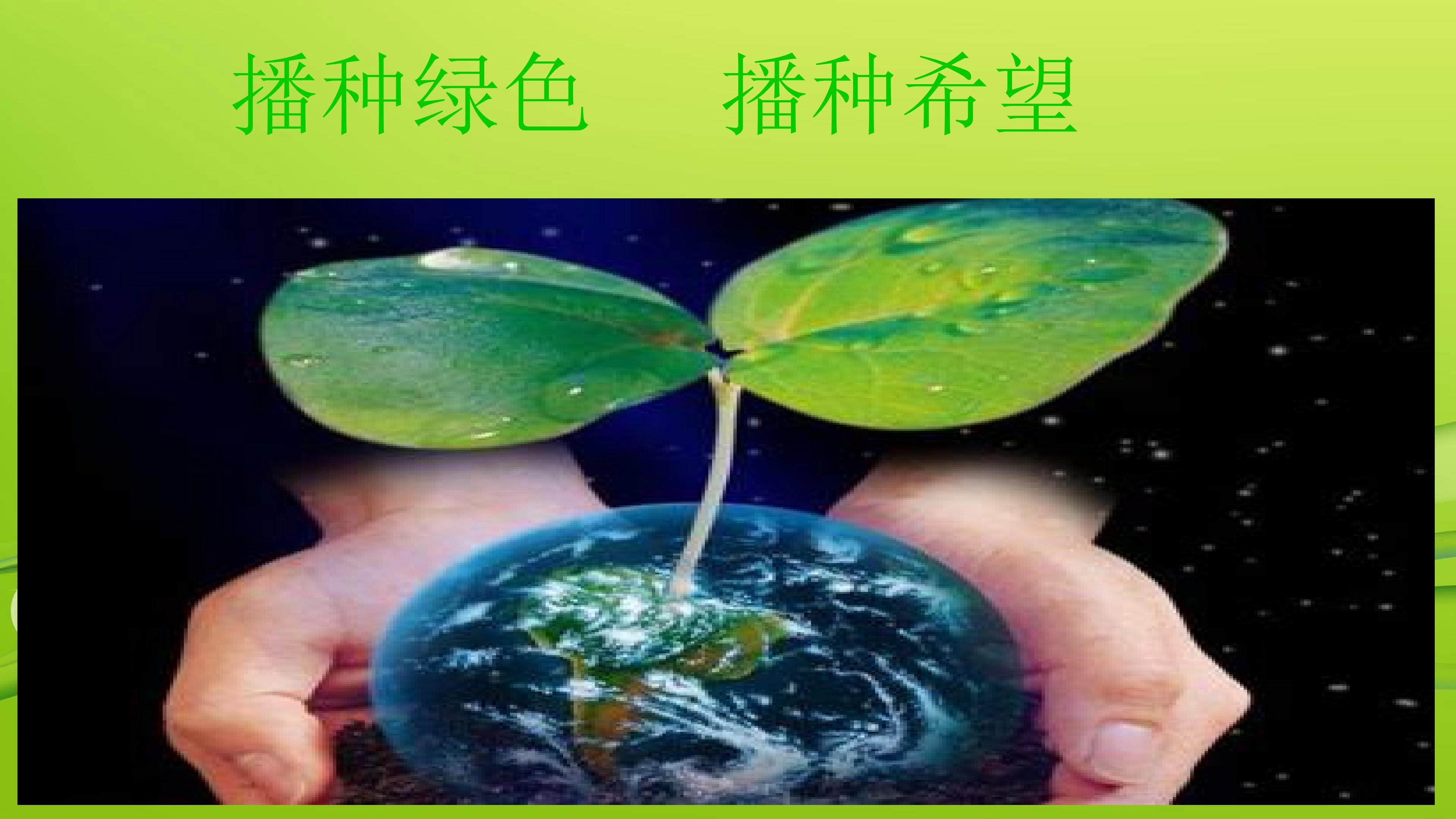 播种绿色 播种希望