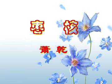 枣   核_课件3