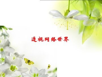 透视网络世界_课件1