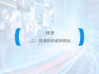排泄--尿液的形成和排出