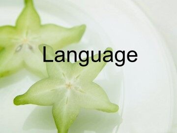 Language Problem－Solving 4_课件1