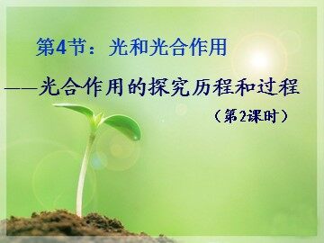 二  光合作用的原理和应用