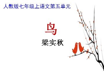 18 鸟