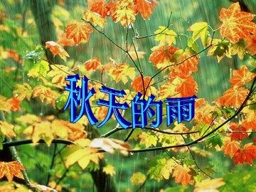 11 秋天的雨