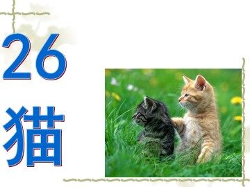26 猫 
