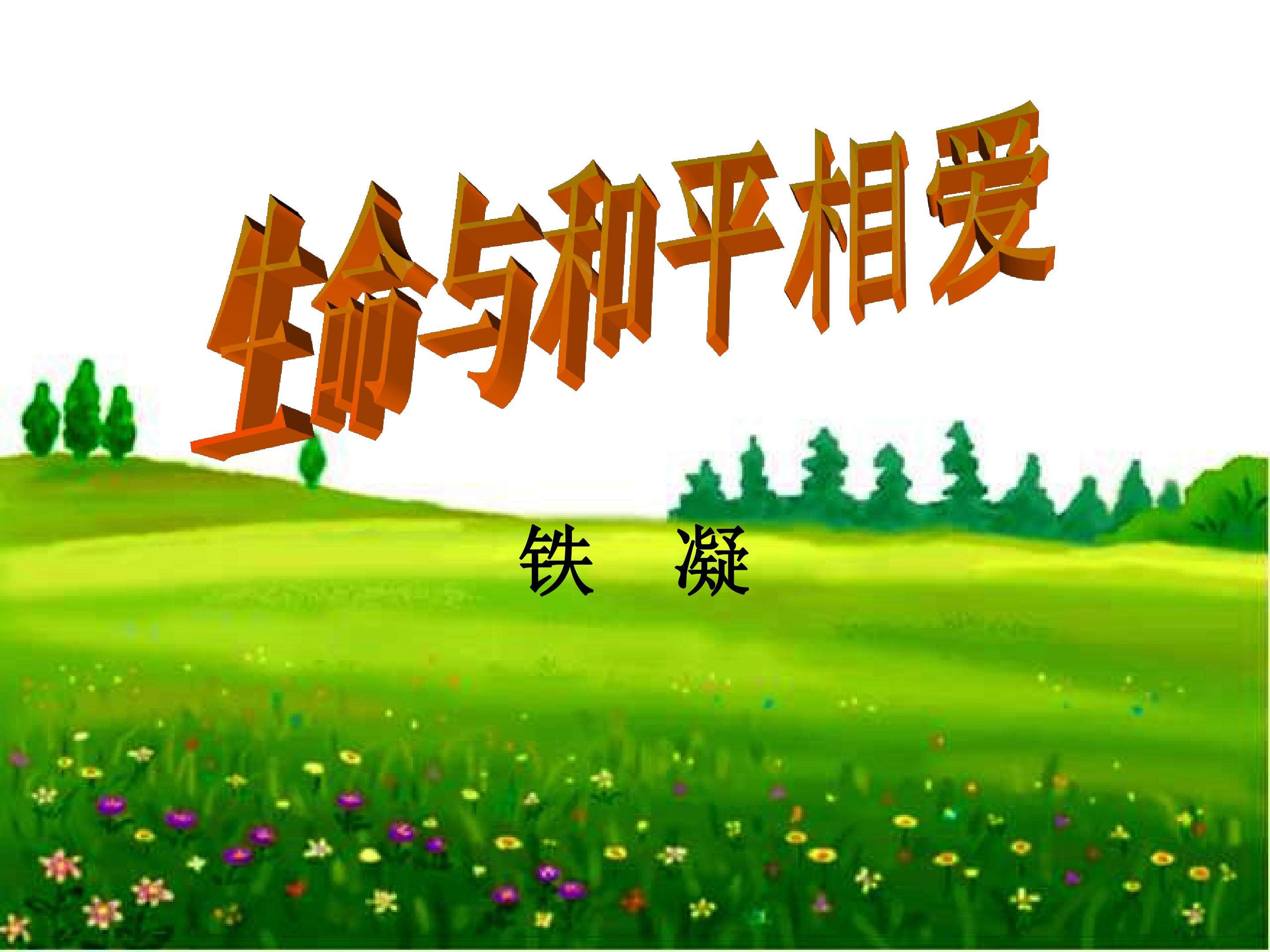 生命与和平相爱_课件3