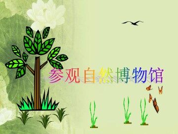 参观自然界博物馆_课件1