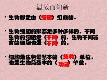 用显微镜观察身边的生命世界(三)课件2