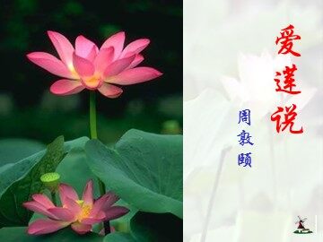 22 短文两篇