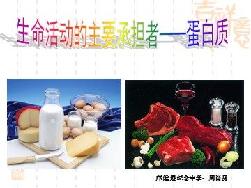 生物高中必修1第二章第二节课件9