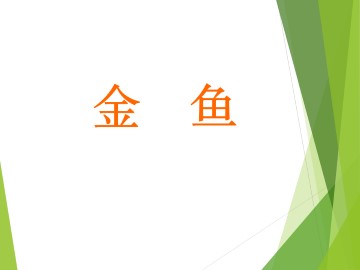 金鱼_课件1