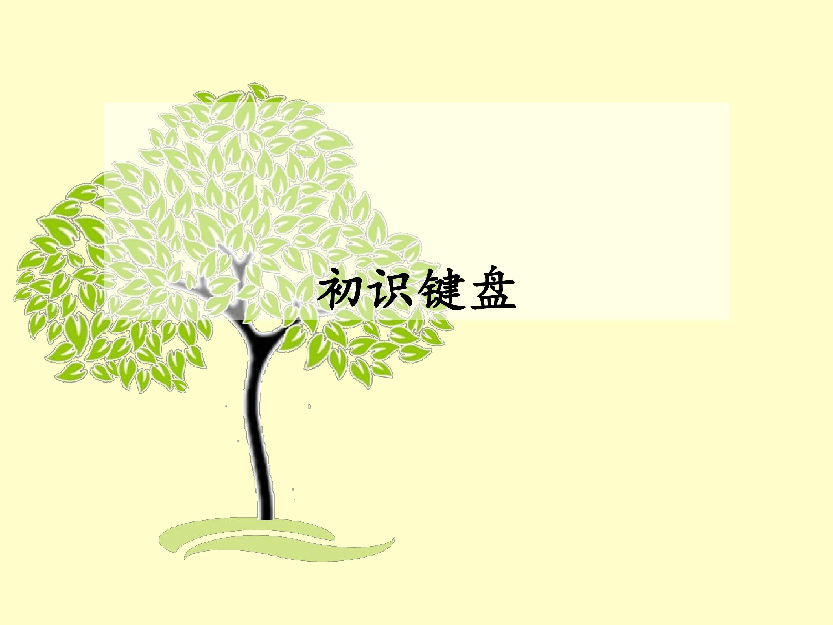 初识键盘_课件1