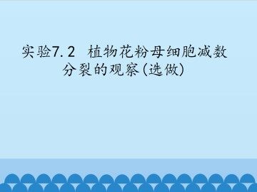 实验7.2  植物花粉母细胞减数分裂的观察(选做)_课件1