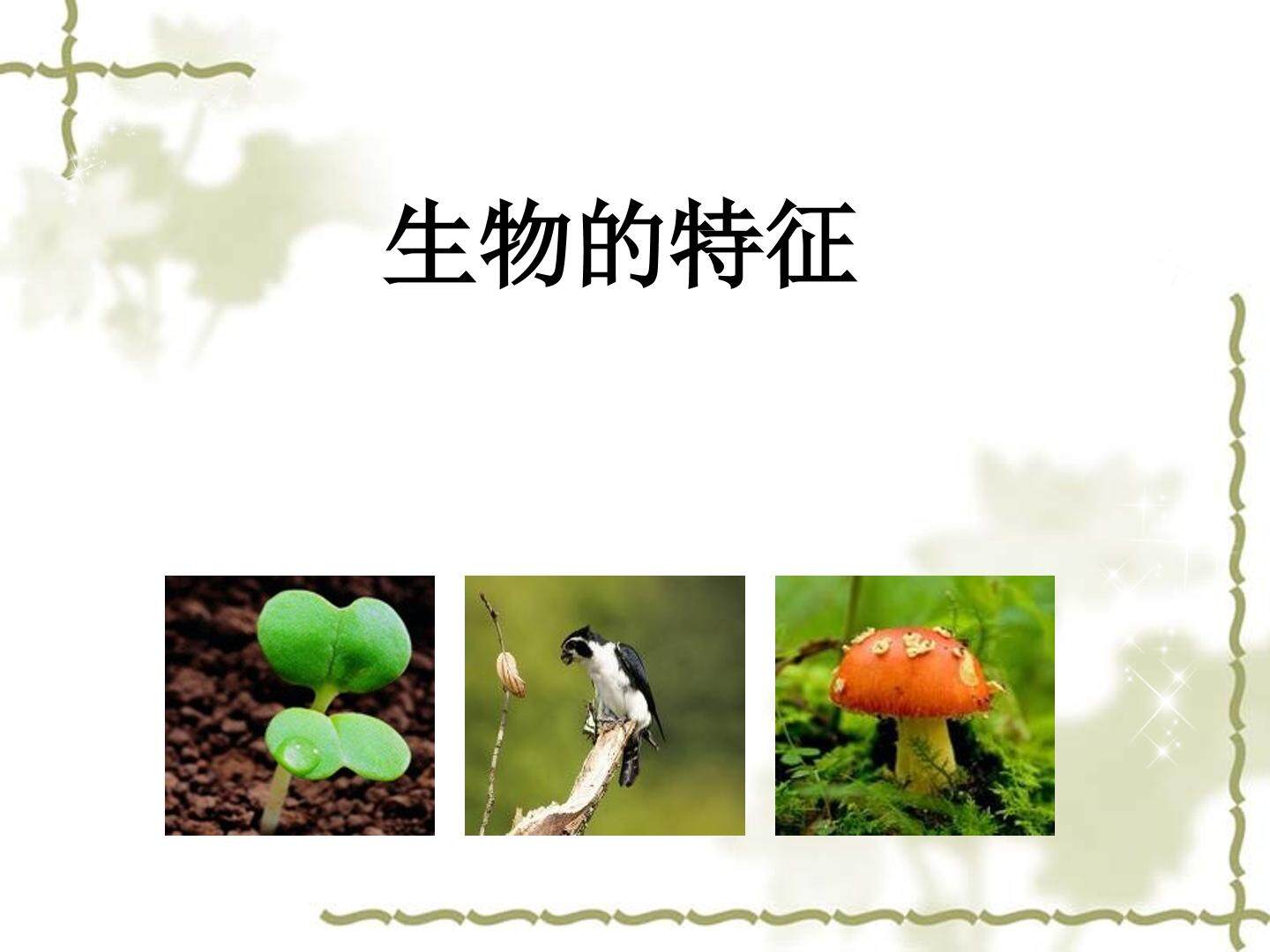 生物的特征_课件1