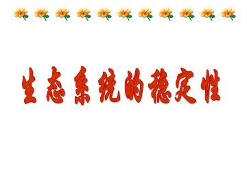生物高中必修3第五章第五节课件18