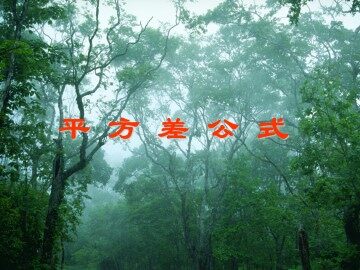 平方差公式_课件5