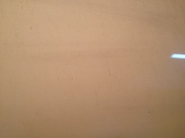 10 那树 