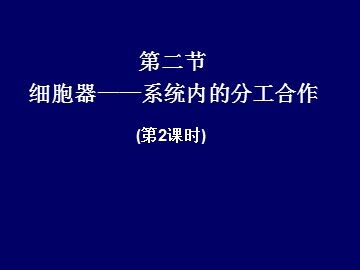 生物高中必修1第三章第二节课件2
