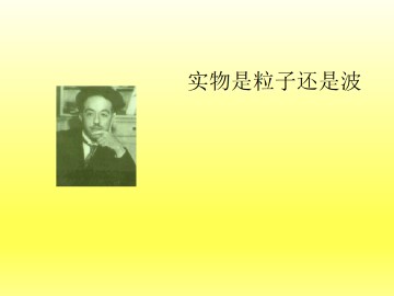 实物是粒子还是波_课件2
