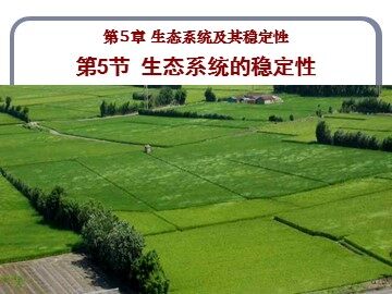 生物高中必修3第五章第五节课件17
