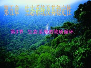 生物高中必修3第五章第三节课件9