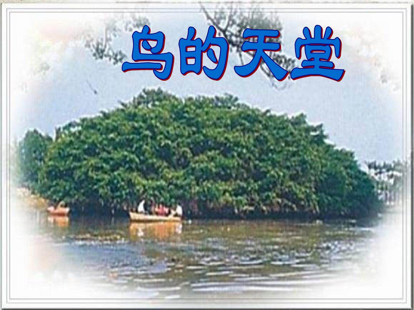 鸟的天堂_课件10