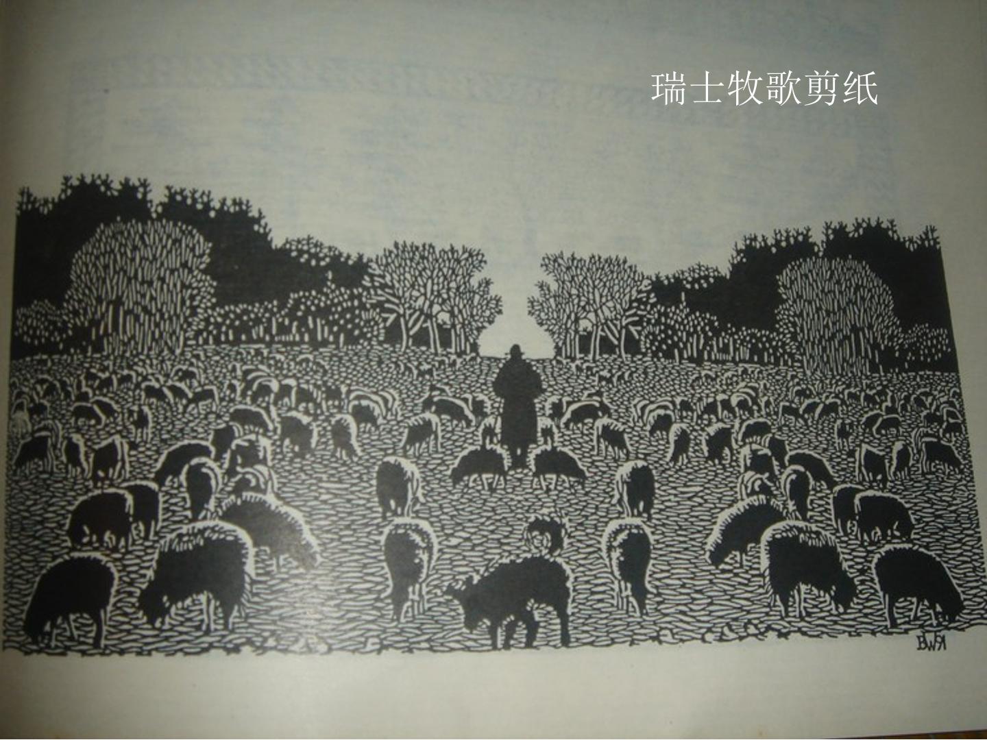 49.jpg