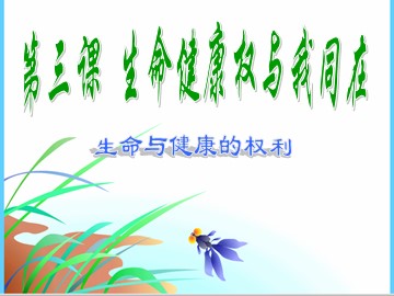 思想品德八年级下册第二单元第三课第一框教学课件