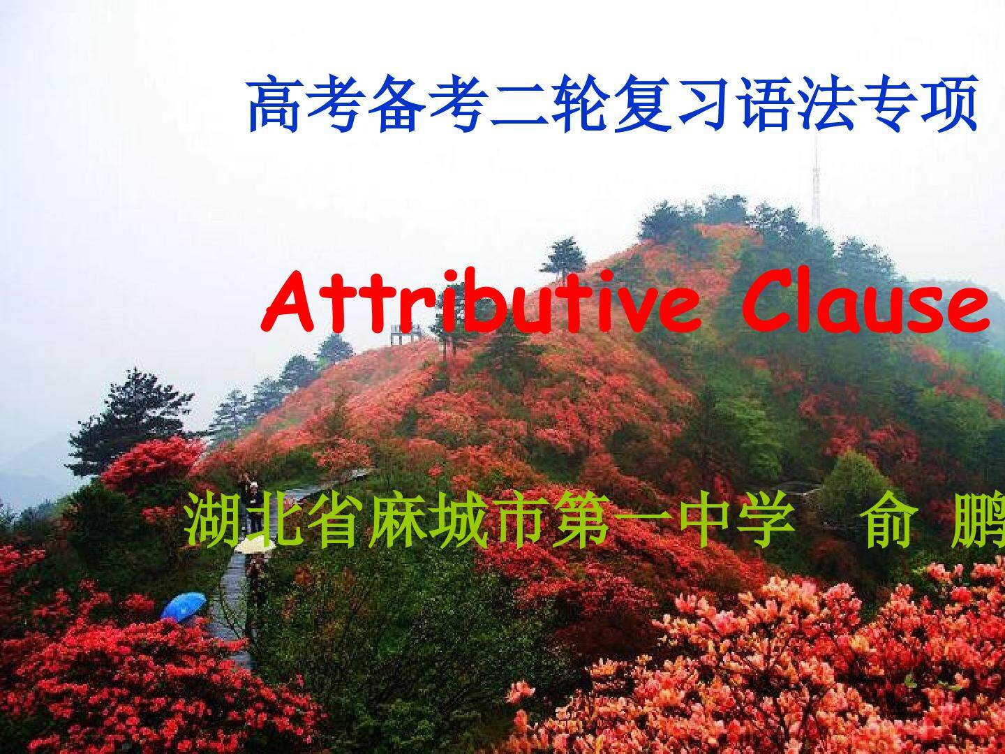 高考语法——定语从句