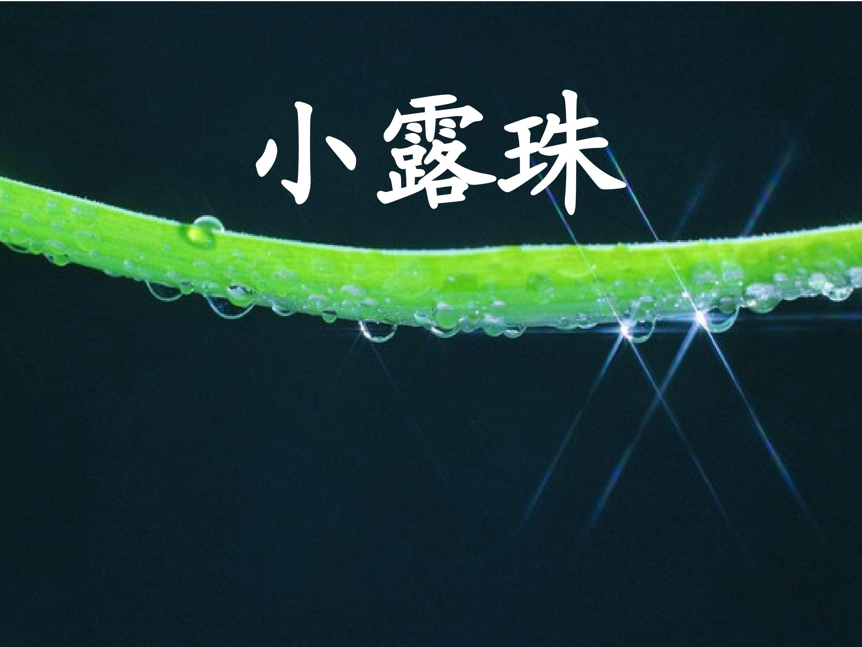 小露珠