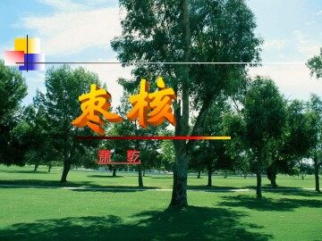 枣   核_课件4